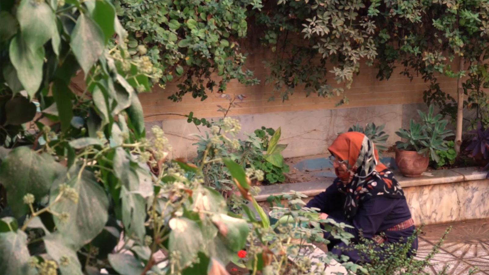 وصیت منتصر-هاشور