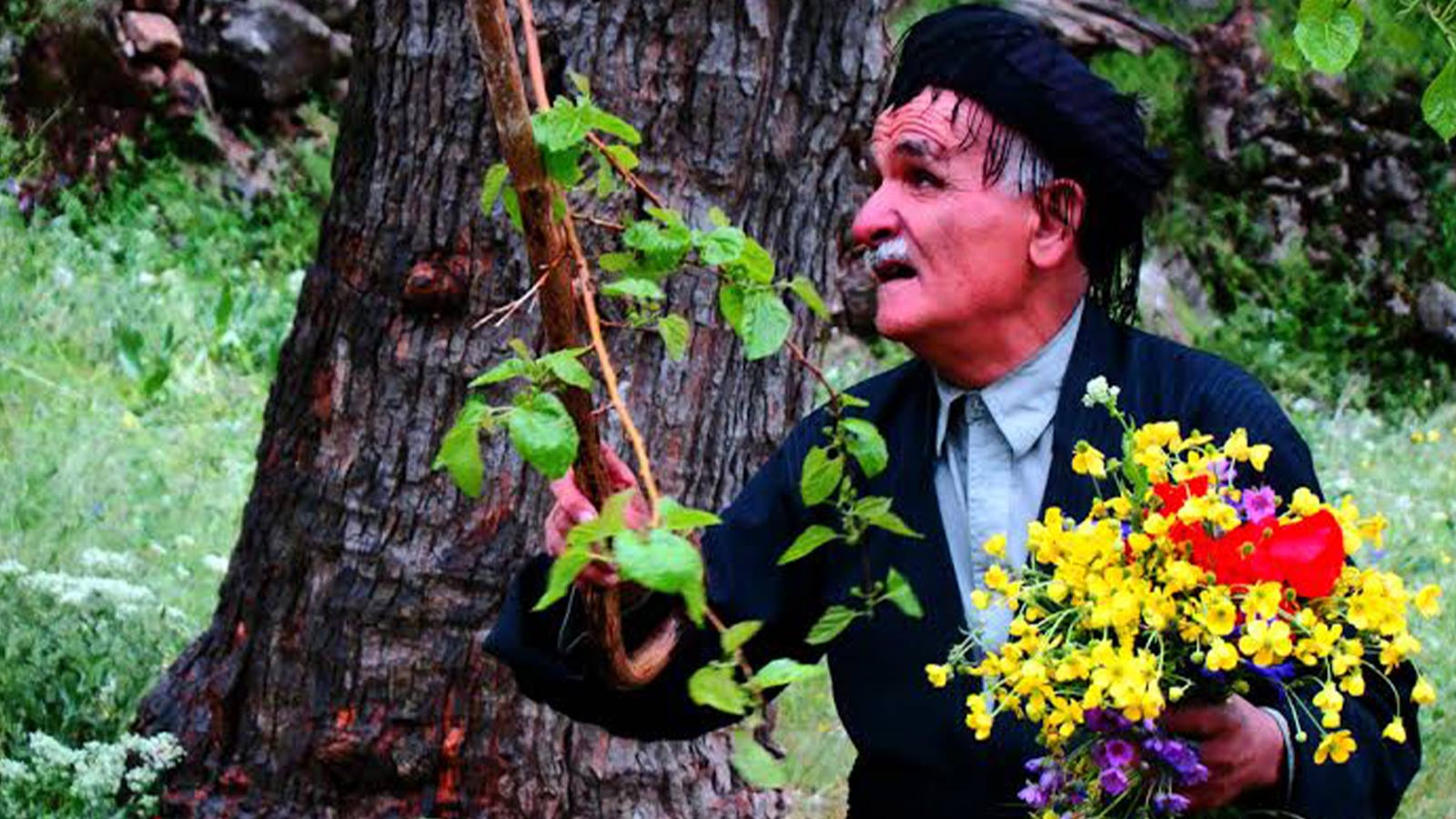 با خدا می رقصم-هاشور