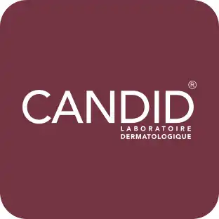 کاندید